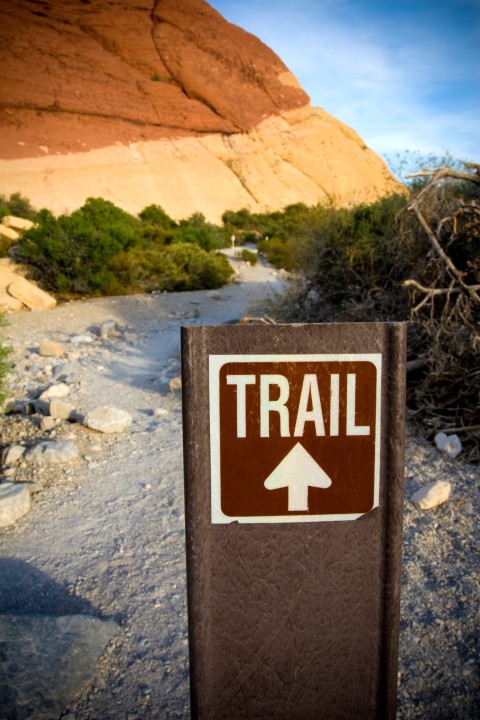 Hiking Preparedness: What to Bring and How to Stay Safe on the Trail