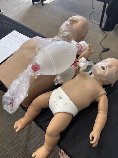 Photo from customer review